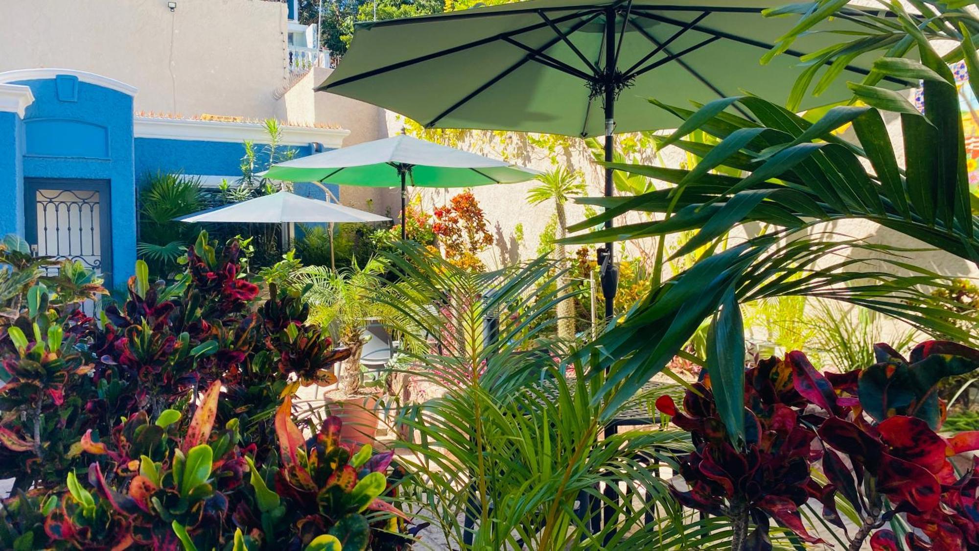 Casa Palencia And Breakfast Mazatlán